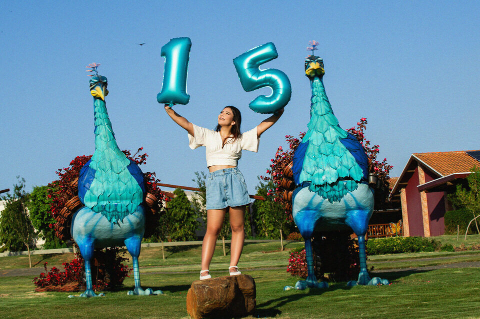 Book 15 Anos - Ana Beatriz - Holambra SP