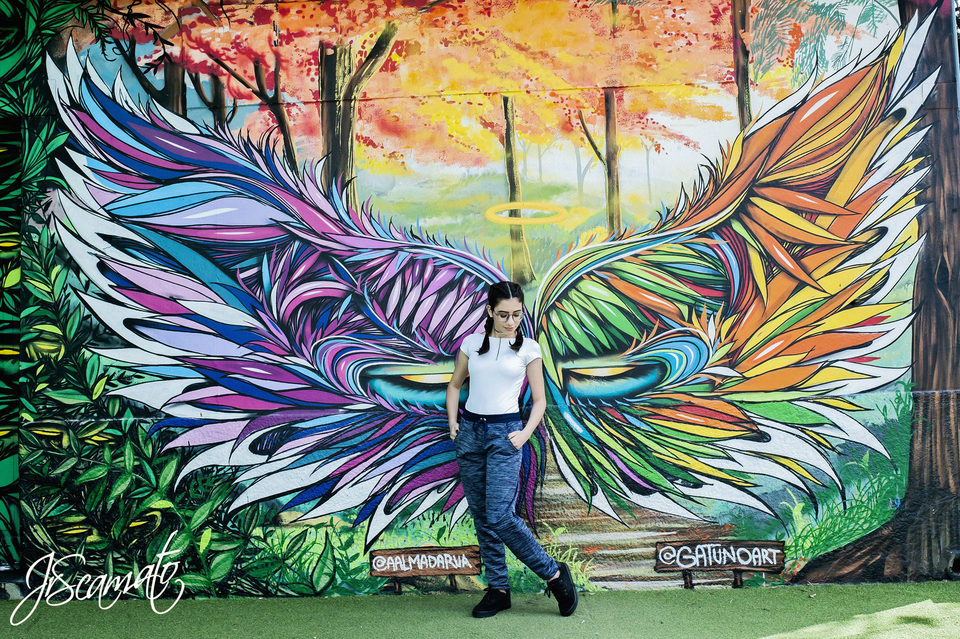 Book 15 anos Ana Carolina - São Paulo SP